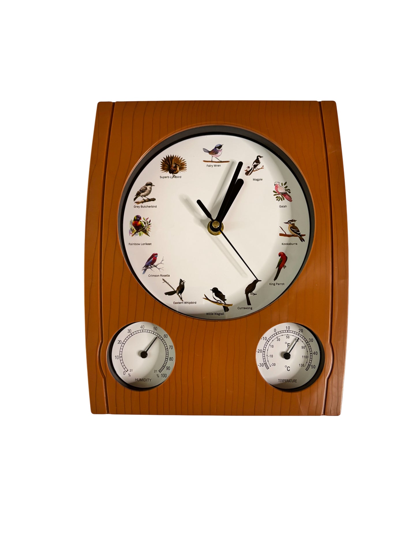 Australian Bird Song 20cm Clock – 12 Hourly Calls Humidity & Temperature